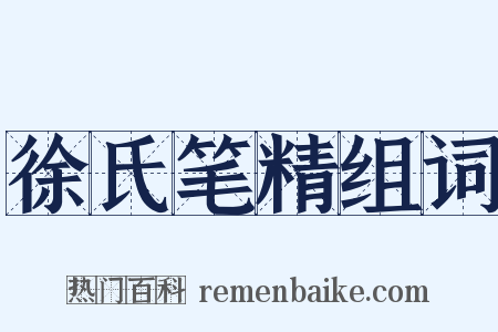 徐氏笔精组词是什么意思的图片